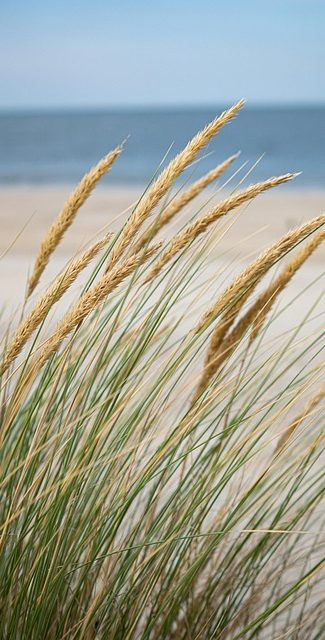 Couples counselling in Edinburgh